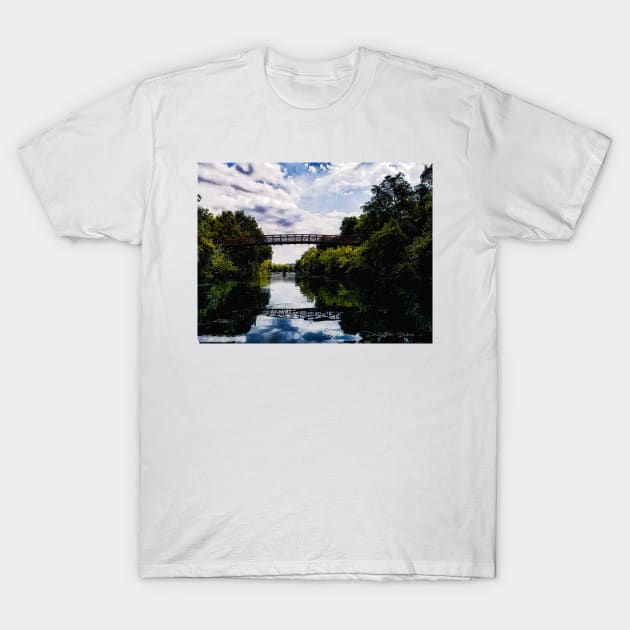 Zilker Park- Austin, Texas T-Shirt by davidbstudios